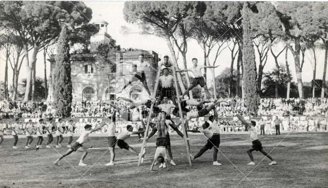 centro sportivo italiano reggio calabria